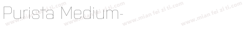 Purista Medium字体转换